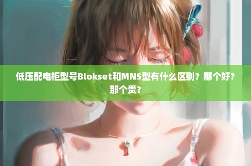 低压配电柜型号Blokset和MNS型有什么区别？那个好？那个贵？