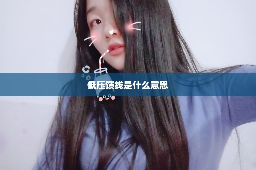 低压馈线是什么意思