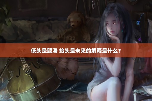 低头是题海 抬头是未来的解释是什么？