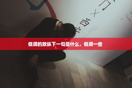 低调的放纵下一句是什么，低调一些 