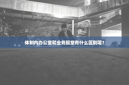 体制内办公室和业务股室有什么区别呢？