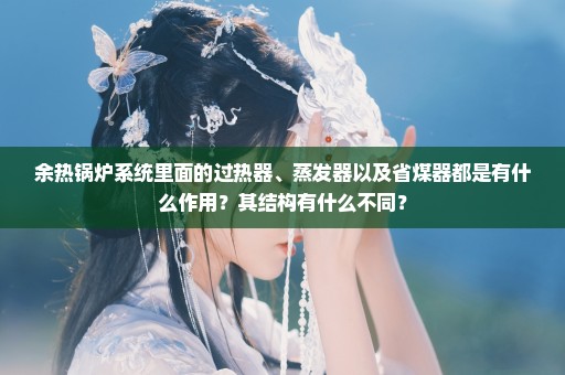 余热锅炉系统里面的过热器、蒸发器以及省煤器都是有什么作用？其结构有什么不同？