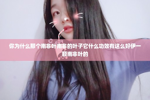 你为什么那个南非叶南非的叶子它什么功效有这么好伊一颗南非叶的