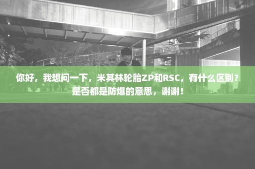 你好，我想问一下，米其林轮胎ZP和RSC，有什么区别？是否都是防爆的意思，谢谢！