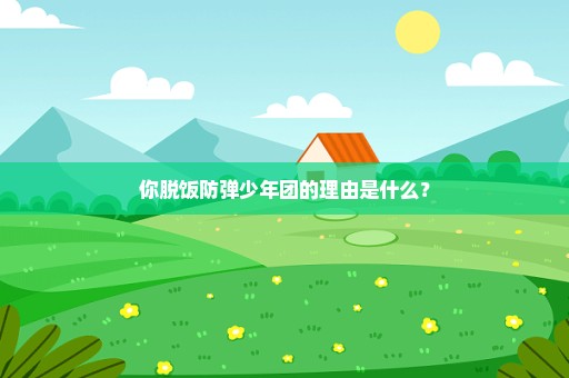 你脱饭防弹少年团的理由是什么？