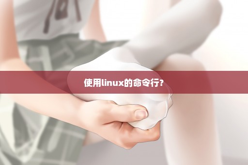 使用linux的命令行？