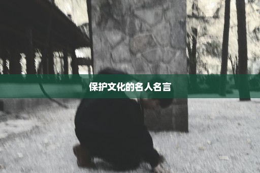 保护文化的名人名言