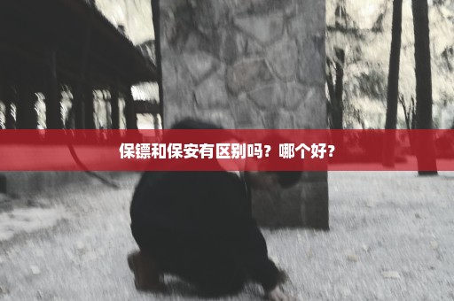 保镖和保安有区别吗？哪个好？