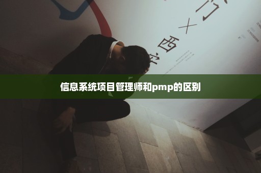 信息系统项目管理师和pmp的区别