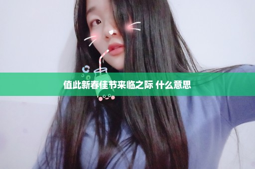 值此新春佳节来临之际 什么意思