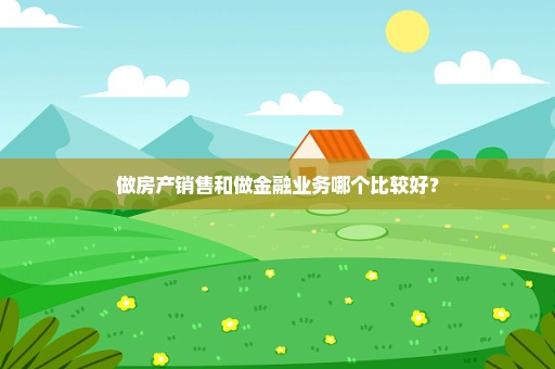 做房产销售和做金融业务哪个比较好？