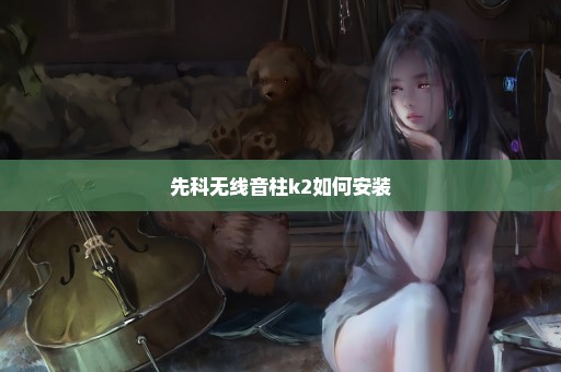 先科无线音柱k2如何安装