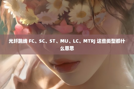 光纤跳线 FC、SC、ST、MU、LC、MTRJ 这些类型都什么意思