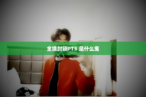 全境封锁PTS 是什么鬼