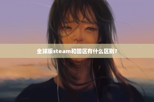 全球版steam和国区有什么区别？