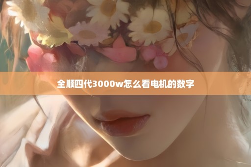 全顺四代3000w怎么看电机的数字