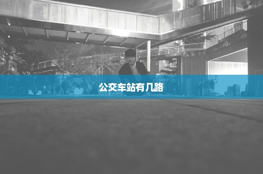 公交车站有几路