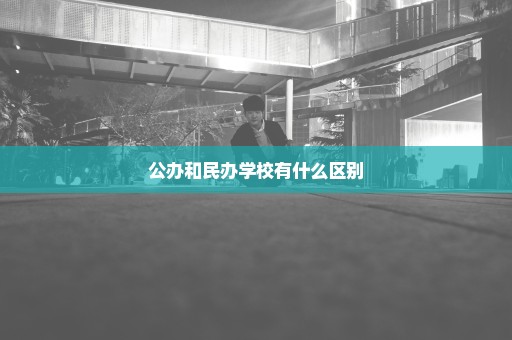 公办和民办学校有什么区别