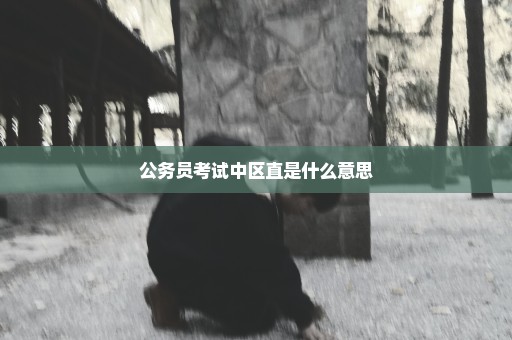 公务员考试中区直是什么意思