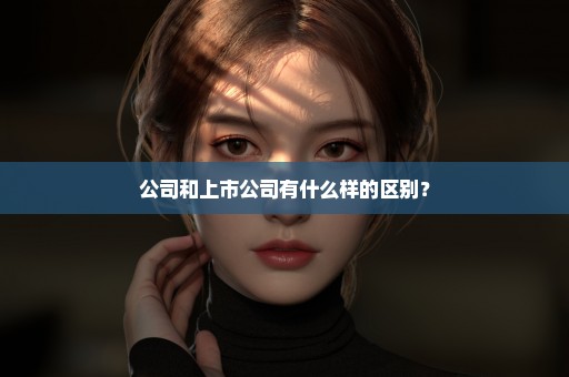 公司和上市公司有什么样的区别？