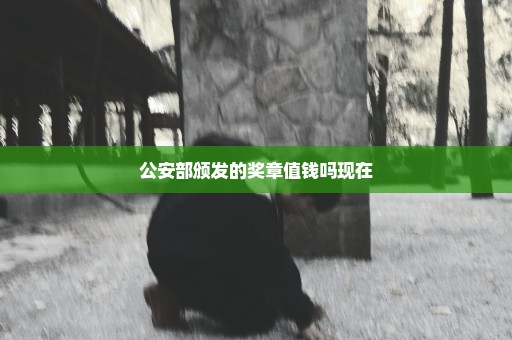 公安部颁发的奖章值钱吗现在