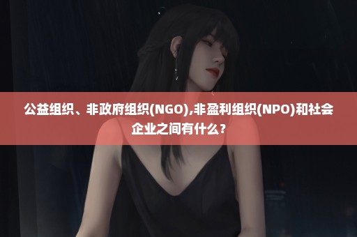 公益组织、非政府组织(NGO),非盈利组织(NPO)和社会企业之间有什么？