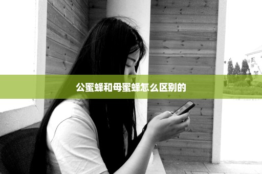 公蜜蜂和母蜜蜂怎么区别的