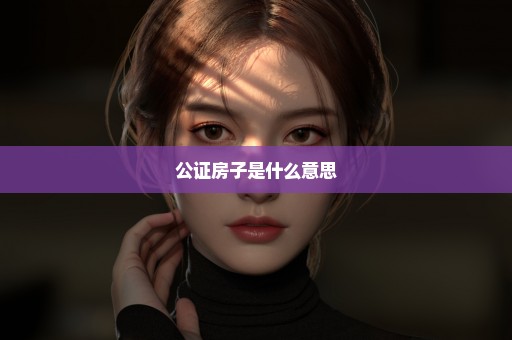 公证房子是什么意思