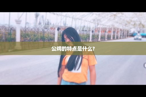 公鸡的特点是什么?