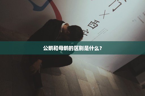 公鹅和母鹅的区别是什么？