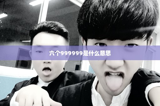 六个999999是什么意思