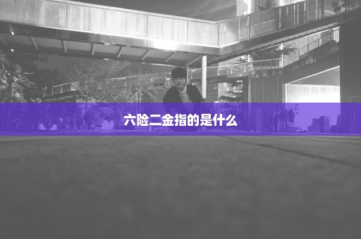 六险二金指的是什么