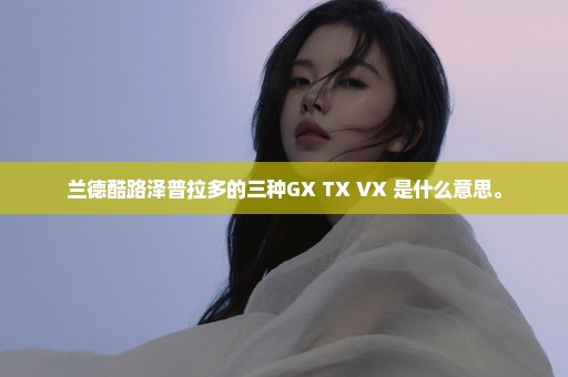 兰德酷路泽普拉多的三种GX TX VX 是什么意思。