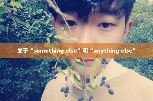 关于“something else”和“anything else”