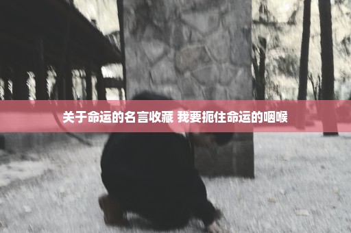 关于命运的名言收藏 我要扼住命运的咽喉