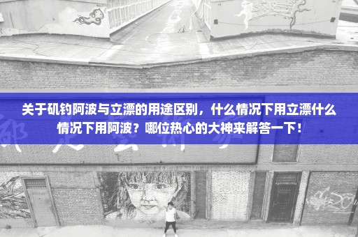 关于矶钓阿波与立漂的用途区别，什么情况下用立漂什么情况下用阿波？哪位热心的大神来解答一下！