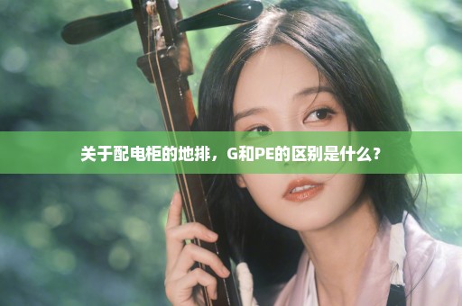 关于配电柜的地排，G和PE的区别是什么？