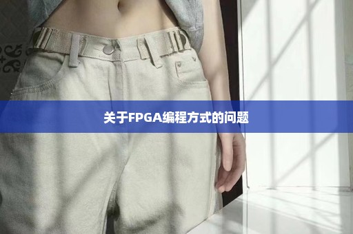 关于FPGA编程方式的问题