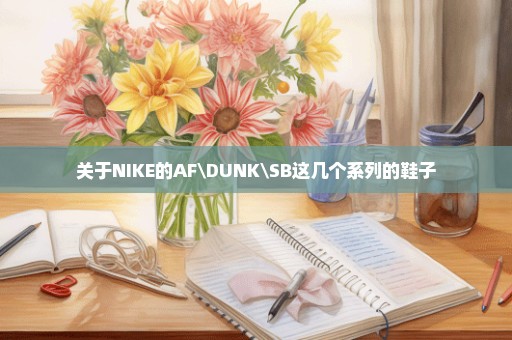 关于NIKE的AF\DUNK\SB这几个系列的鞋子