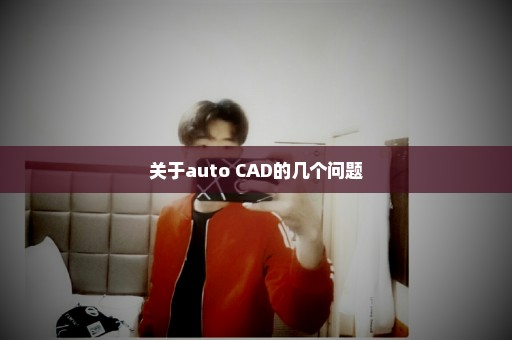 关于auto CAD的几个问题