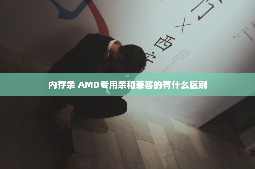 内存条 AMD专用条和兼容的有什么区别