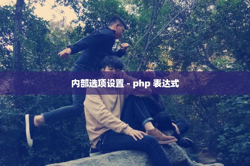 内部选项设置 - php 表达式