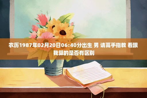 农历1987年02月20日06:40分出生 男 请高手指教 看跟我算的是否有区别