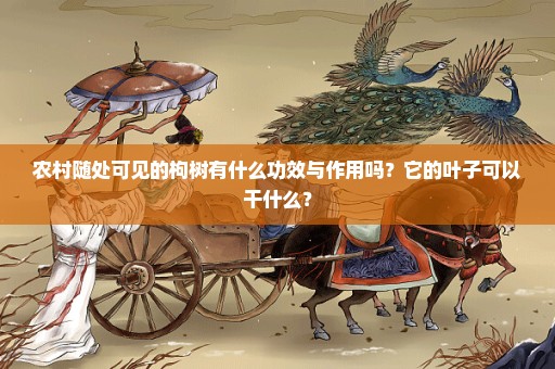 农村随处可见的枸树有什么功效与作用吗？它的叶子可以干什么？