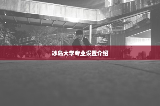 冰岛大学专业设置介绍