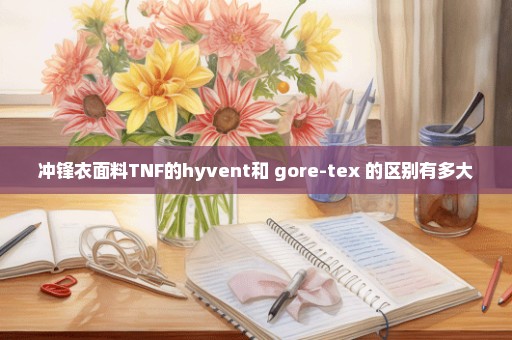 冲锋衣面料TNF的hyvent和 gore-tex 的区别有多大