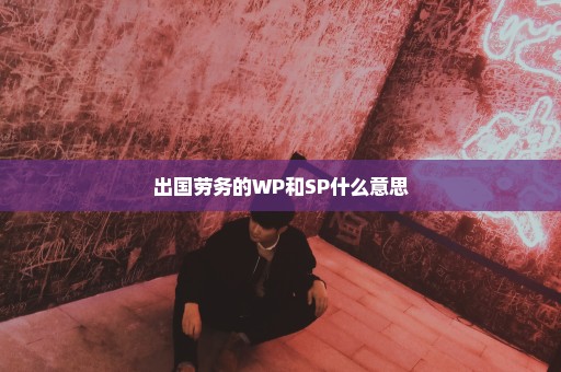 出国劳务的WP和SP什么意思