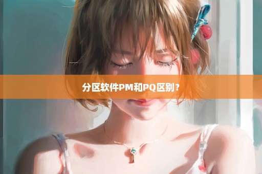 分区软件PM和PQ区别？