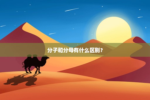 分子和分母有什么区别？