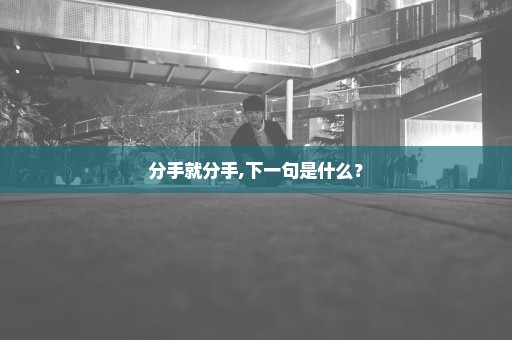 分手就分手,下一句是什么？